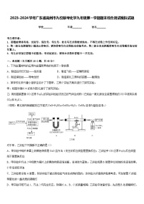 2023-2024学年广东省高州市九校联考化学九年级第一学期期末综合测试模拟试题含答案