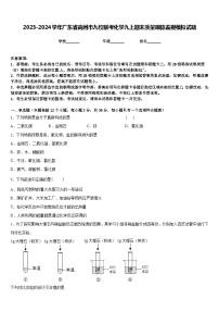 2023-2024学年广东省高州市九校联考化学九上期末质量跟踪监视模拟试题含答案