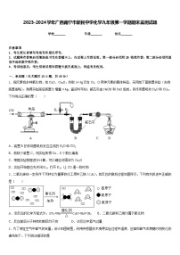 2023-2024学年广西南宁市新民中学化学九年级第一学期期末监测试题含答案