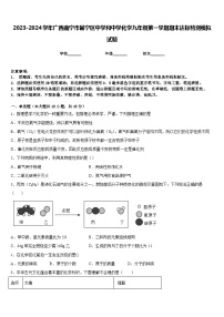 2023-2024学年广西南宁市邕宁区中学和中学化学九年级第一学期期末达标检测模拟试题含答案