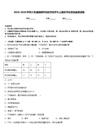 2023-2024学年江苏省扬州市仪征市化学九上期末学业质量监测试题含答案