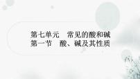 鲁教版中考化学复习第七单元常见的酸和碱第一节酸、碱及其性质课件