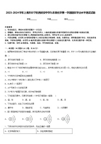 2023-2024学年上海市长宁区西延安中学九年级化学第一学期期末学业水平测试试题含答案