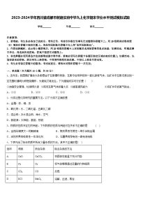 2023-2024学年四川省成都市树德实验中学九上化学期末学业水平测试模拟试题含答案