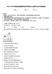 2023-2024学年四川省成都市棕北中学化学九上期末学业水平测试试题含答案