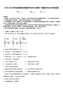 2023-2024学年安徽省淮北市西园中学化学九年级第一学期期末学业水平测试试题含答案