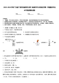 2023-2024学年广东省广州市华南师范大第二附属中学九年级化学第一学期期末学业水平测试模拟试题含答案