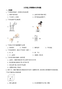 河南省洛阳市2023年九年级上学期期末化学试题附答案