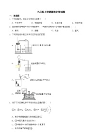 河南省平顶山市2023年九年级上学期期末化学试题附答案