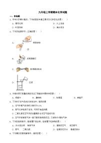 河南省信阳市息县2023年九年级上学期期末化学试题附答案