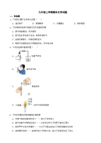 湖南省邵阳市2023年九年级上学期期末化学试题附答案