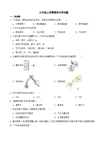 四川省成都市高新区2023年九年级上学期期末化学试题附答案