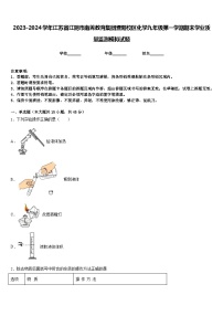 2023-2024学年江苏省江阴市南菁教育集团暨阳校区化学九年级第一学期期末学业质量监测模拟试题含答案