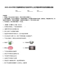 2023-2024学年江苏省泰州市民兴实验中学九上化学期末教学质量检测模拟试题含答案