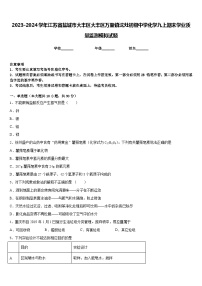 2023-2024学年江苏省盐城市大丰区大丰区万盈镇沈灶初级中学化学九上期末学业质量监测模拟试题含答案