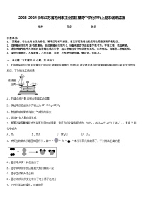 2023-2024学年江苏省苏州市工业园区星湾中学化学九上期末调研试题含答案