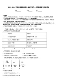 2023-2024学年江苏省镇江市外国语学校九上化学期末复习检测试题含答案