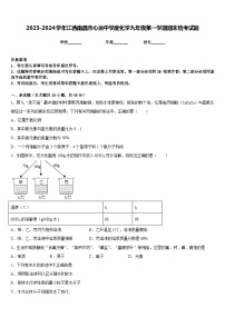 2023-2024学年江西南昌市心远中学度化学九年级第一学期期末统考试题含答案