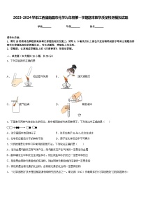 2023-2024学年江西省南昌市化学九年级第一学期期末教学质量检测模拟试题含答案