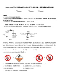 2023-2024学年江西省南昌市心远中学九年级化学第一学期期末联考模拟试题含答案