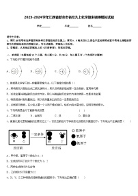 2023-2024学年江西省新余市名校九上化学期末调研模拟试题含答案