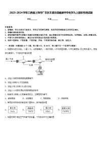 2023-2024学年江西省上饶市广丰区丰溪街道南屏中学化学九上期末检测试题含答案