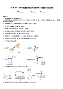 2023-2024学年江西省信丰县九年级化学第一学期期末检测试题含答案