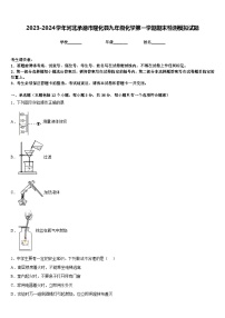 2023-2024学年河北承德市隆化县九年级化学第一学期期末检测模拟试题含答案