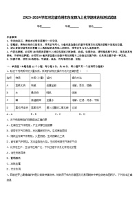 2023-2024学年河北省沧州市东光县九上化学期末达标测试试题含答案