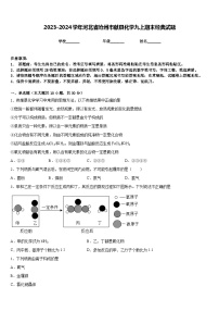 2023-2024学年河北省沧州市献县化学九上期末经典试题含答案