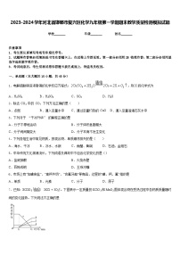 2023-2024学年河北省邯郸市复兴区化学九年级第一学期期末教学质量检测模拟试题含答案