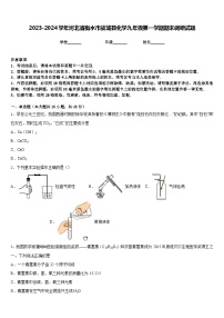 2023-2024学年河北省衡水市故城县化学九年级第一学期期末调研试题含答案