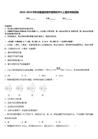 2023-2024学年河南省安阳市滑县化学九上期末预测试题含答案