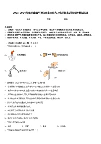 2023-2024学年河南省平顶山市宝丰县九上化学期末达标检测模拟试题含答案