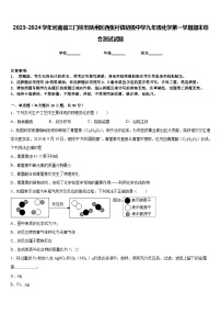 2023-2024学年河南省三门峡市陕州区西张村镇初级中学九年级化学第一学期期末综合测试试题含答案