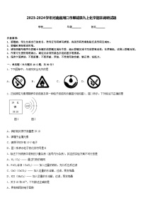 2023-2024学年河南省周口市郸城县九上化学期末调研试题含答案