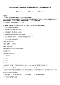 2023-2024学年河南省周口市第十初级中学九上化学期末检测试题含答案