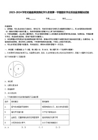 2023-2024学年河南省淮滨县化学九年级第一学期期末学业质量监测模拟试题含答案