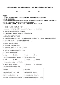 2023-2024学年河南省焦作市名校九年级化学第一学期期末达标测试试题含答案