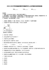 2023-2024学年河南省洛阳市外国语学校九上化学期末质量检测试题含答案