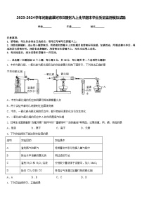 2023-2024学年河南省漯河市召陵区九上化学期末学业质量监测模拟试题含答案