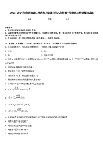 2023-2024学年河南省驻马店市上蔡县化学九年级第一学期期末检测模拟试题含答案