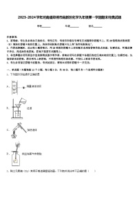 2023-2024学年河南省郑州市高新区化学九年级第一学期期末经典试题含答案