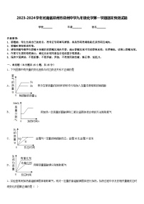 2023-2024学年河南省郑州市郑州中学九年级化学第一学期期末预测试题含答案