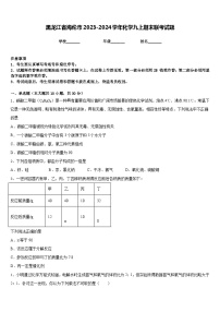 黑龙江省海伦市2023-2024学年化学九上期末联考试题含答案