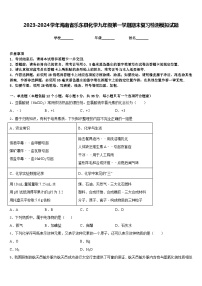 2023-2024学年海南省乐东县化学九年级第一学期期末复习检测模拟试题含答案