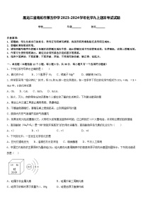 黑龙江省海伦市第五中学2023-2024学年化学九上期末考试试题含答案