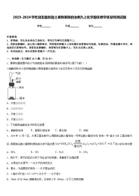 2023-2024学年湖北省恩施土家族苗族自治州九上化学期末教学质量检测试题含答案