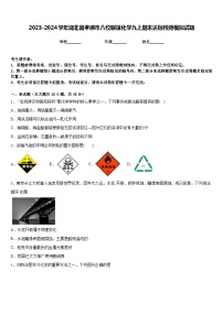 2023-2024学年湖北省孝感市八校联谊化学九上期末达标检测模拟试题含答案