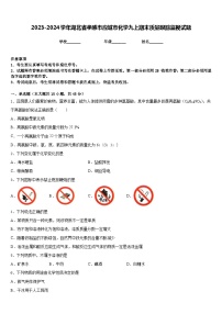 2023-2024学年湖北省孝感市应城市化学九上期末质量跟踪监视试题含答案